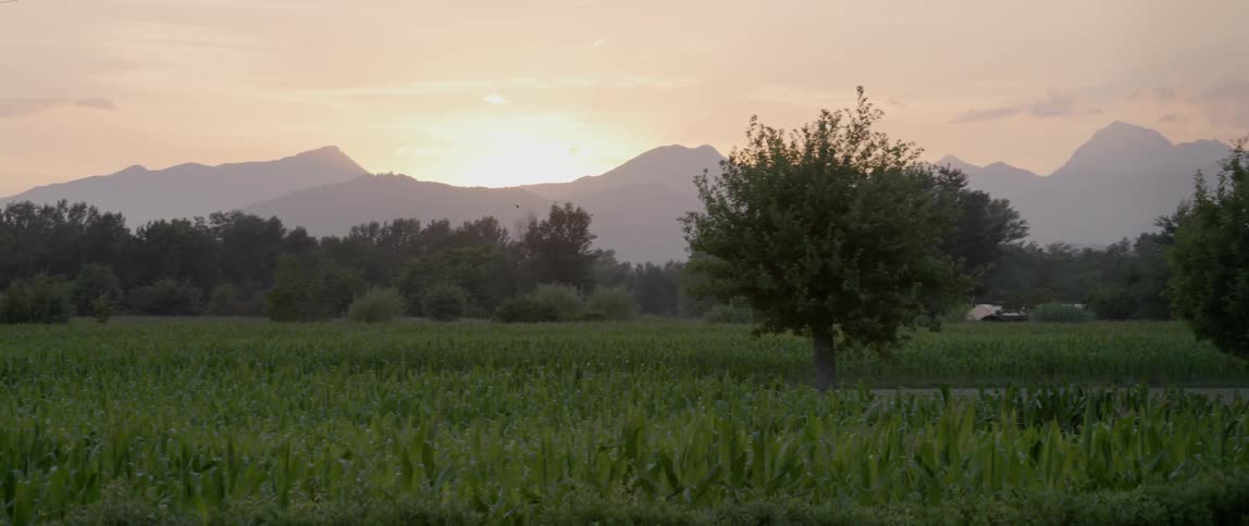 Golden sunset behind mountains with a green pasture in the foreground