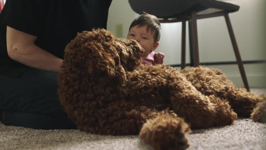 A man sits on the floor withhis baby daughter and pets a dog