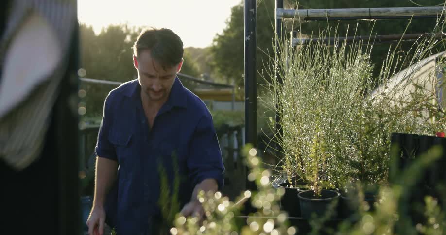 Man removes two potted plants from a table