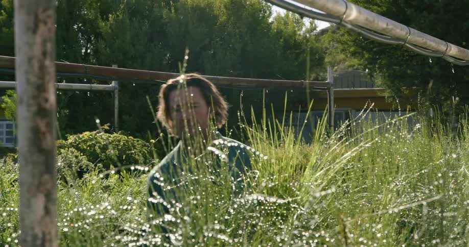 Man walks through a garden with water dripping on the plants