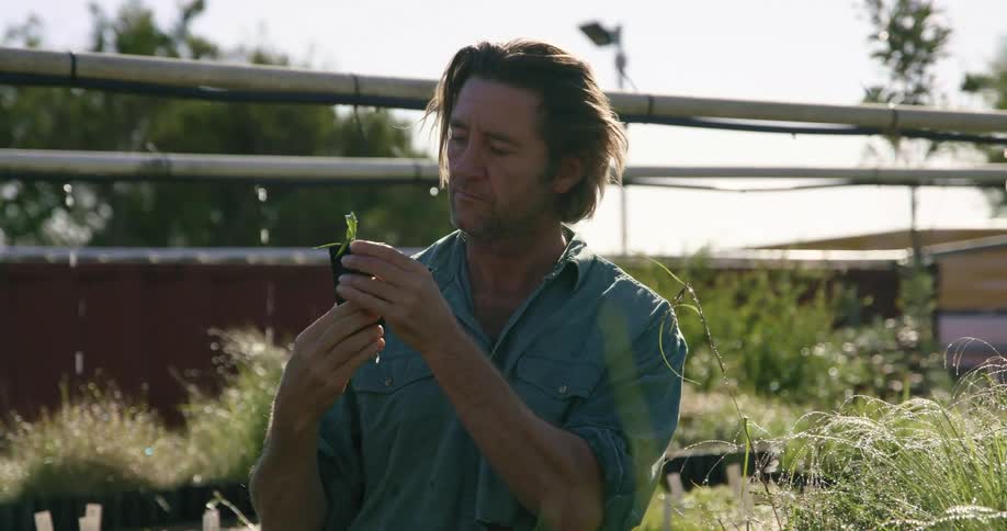 A man checks a plant before placing it down