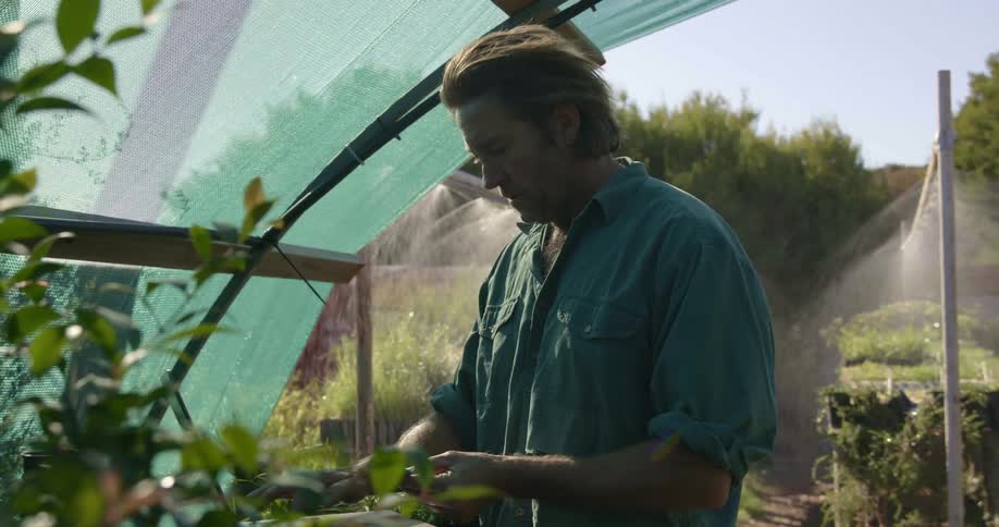 Man types on a laptop in a greenhouse