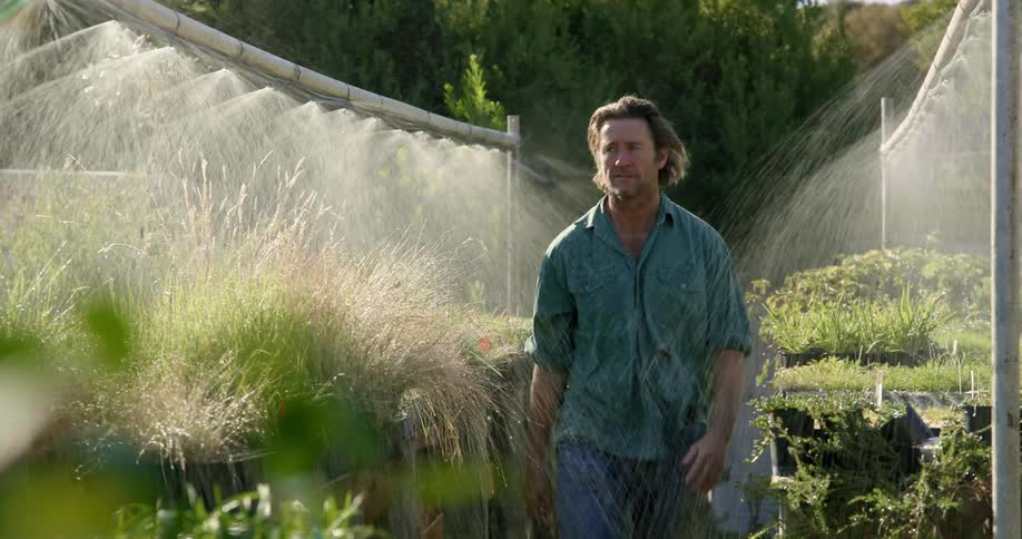 A man walks through a garden as its being watered