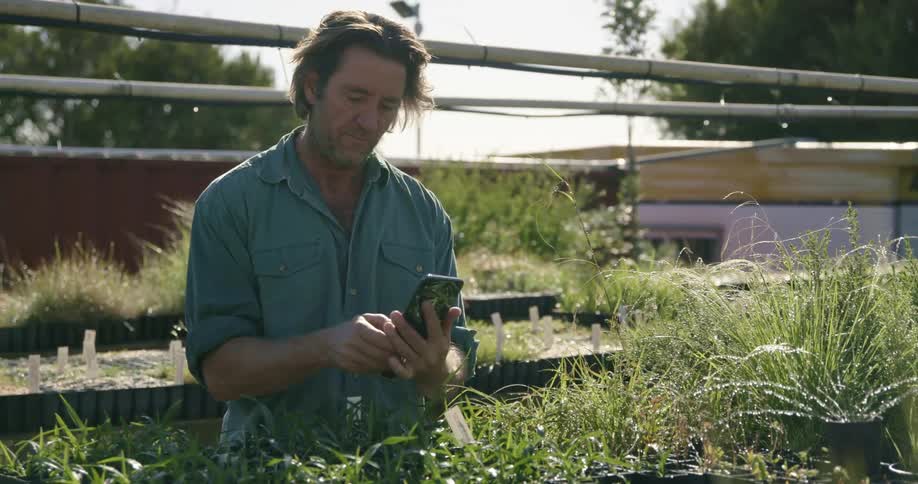 A man uses his cell phone as he examines plants