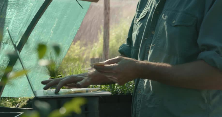 A man is standing in the garden as hoses water the plants