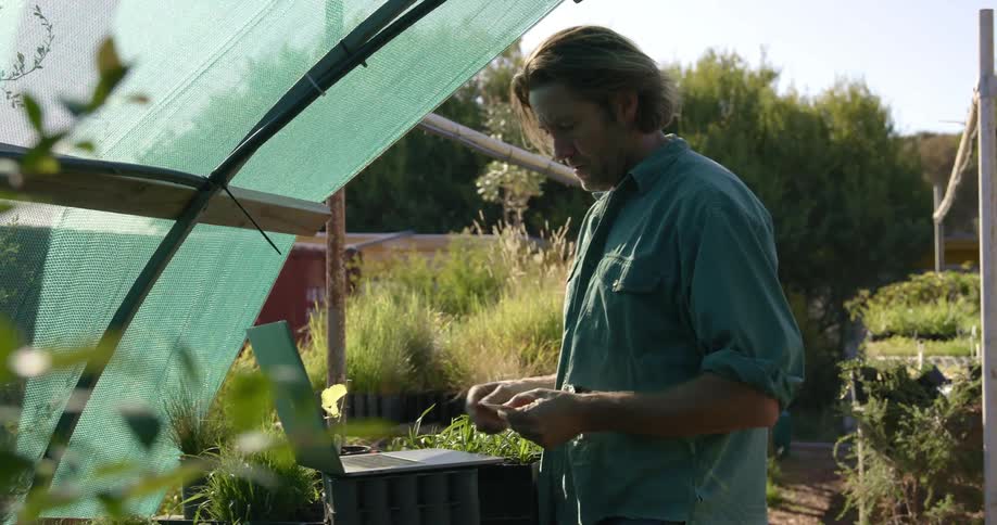 Man works at a nursery