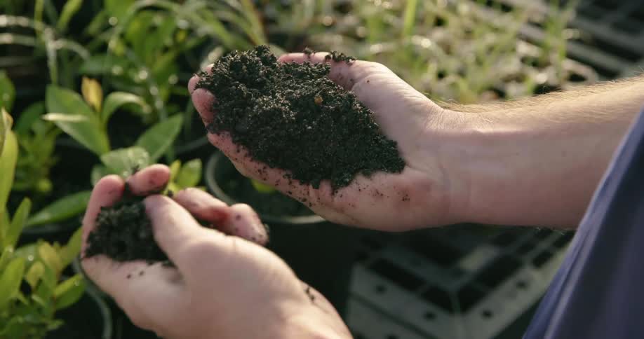 A person examines some soil in their hands