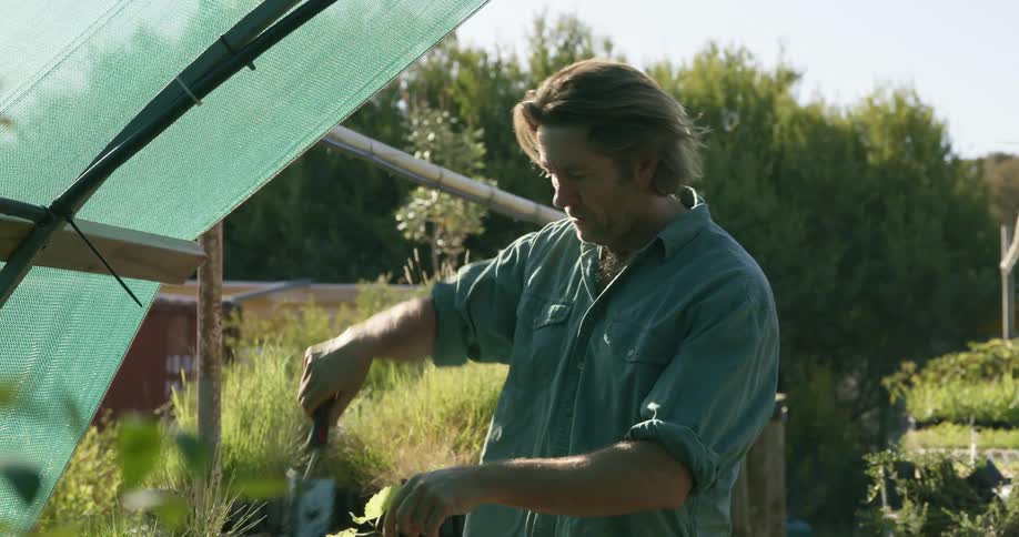 The man is packing a pot with a plant