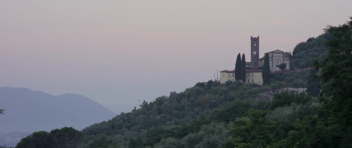 A city on a forested hill