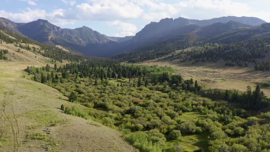 Mountain valley forest with a mountain range in the distance on a cloudy day