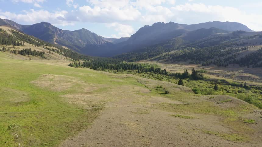 Mountain valley forest with a mountain range in the distance on a cloudy day