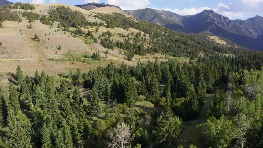 Mountain valley forest with a mountain range in the distance on a cloudy day