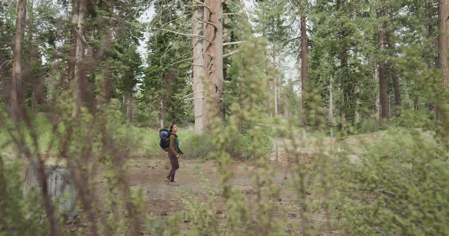 A woman with a backpack walking in the forest with trees the sky and clouds in the background