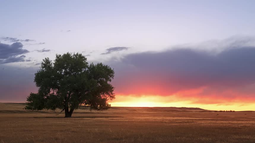 Clouds move over a tree in an open field as the sun sets