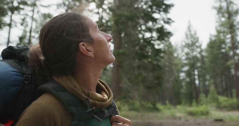 Woman wearing a backpack standing on the clearing of a pine tree forest