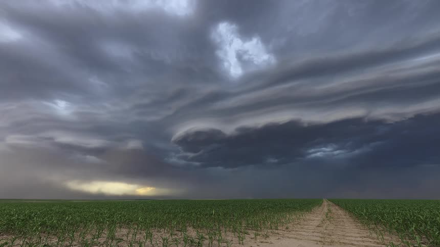 Lightning flashes in the sky as storm clouds pass over a vast grassland during the day