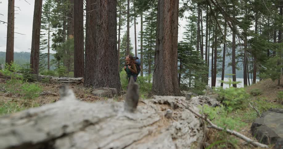 A woman hikes through a forest next to the shore
