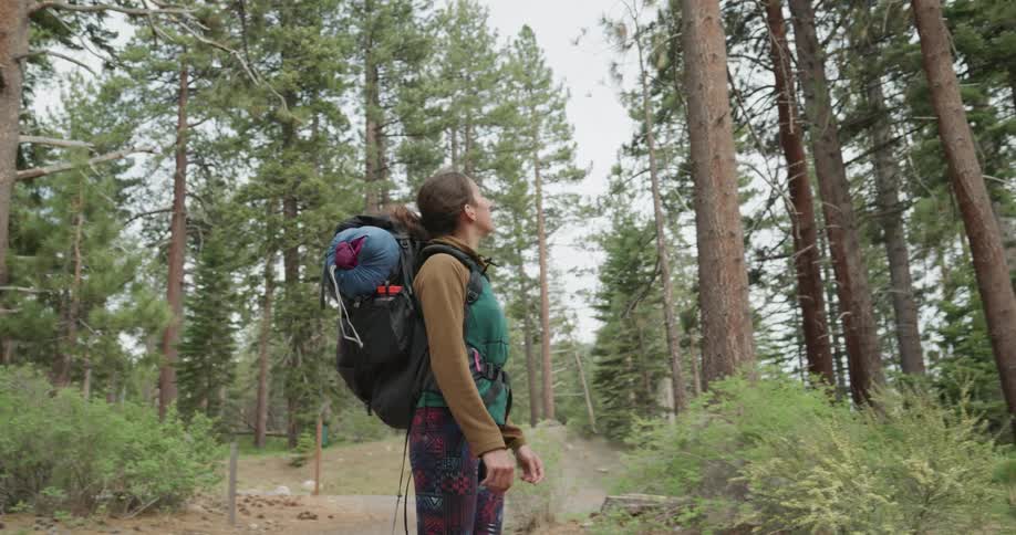 A woman stops on a trail during a hike in the woods to take in the scenery