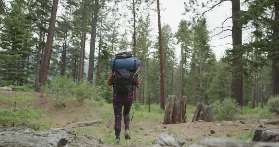 Woman wearing a backpack walking over a falling tree on a trail through the pine tree forest