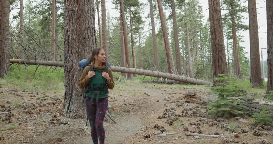 Woman wearing a backpack walking on a trail through the pine tree forest near a lake