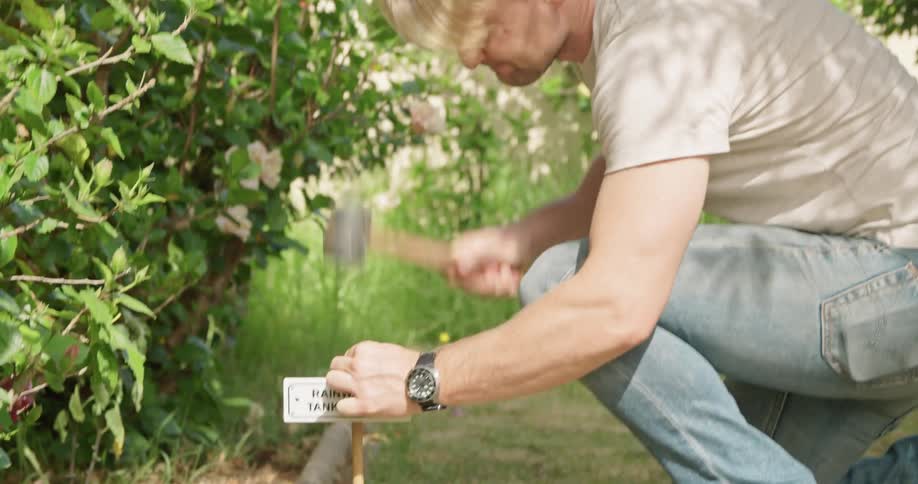 A man with a mallet pounding a sign into the ground with plants and a fence in the background