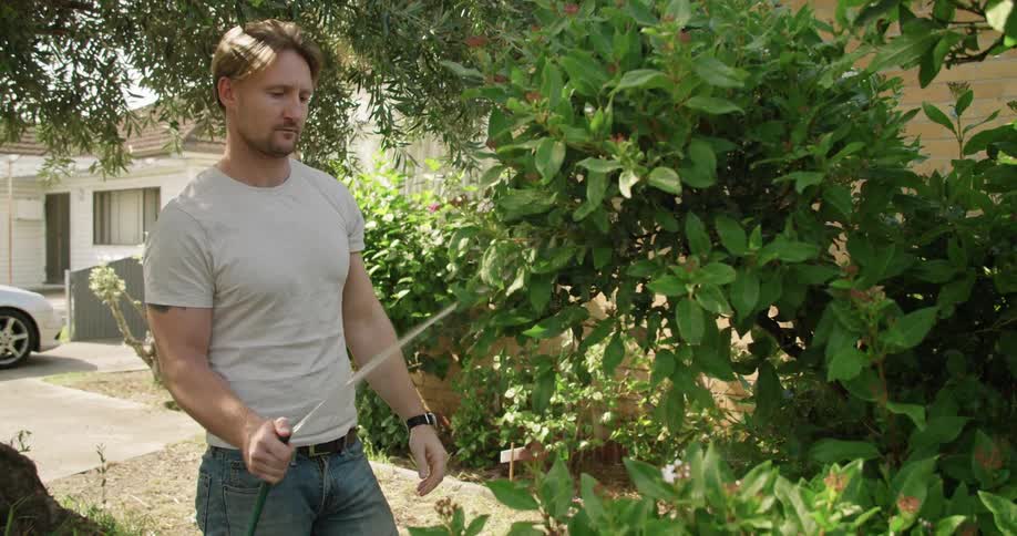 A man uses a watering hose to water a bush in front of a house at daytime