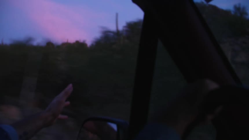 Man drives through scrub stretching arm out of vehicle to feel the wind