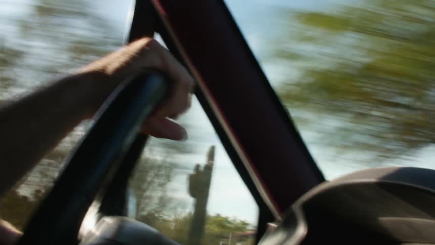A person in a vehicle with a windshield holding a steering wheel with trees the sky and clouds in the background