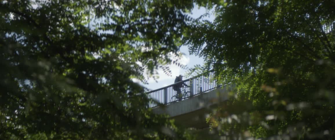 A person rides a bike across a pedestrian overpass surrounded by green trees