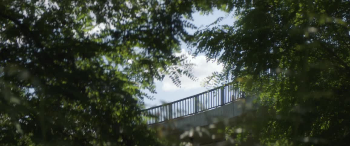 A person on a bike riding on a overpass with trees in the foreground and the sky and clouds in the background