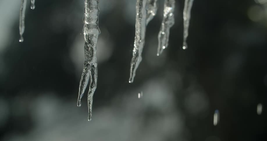 The icicles are melting