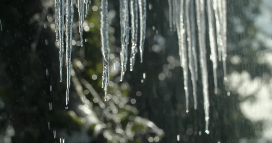 The icicles are melting as it rains