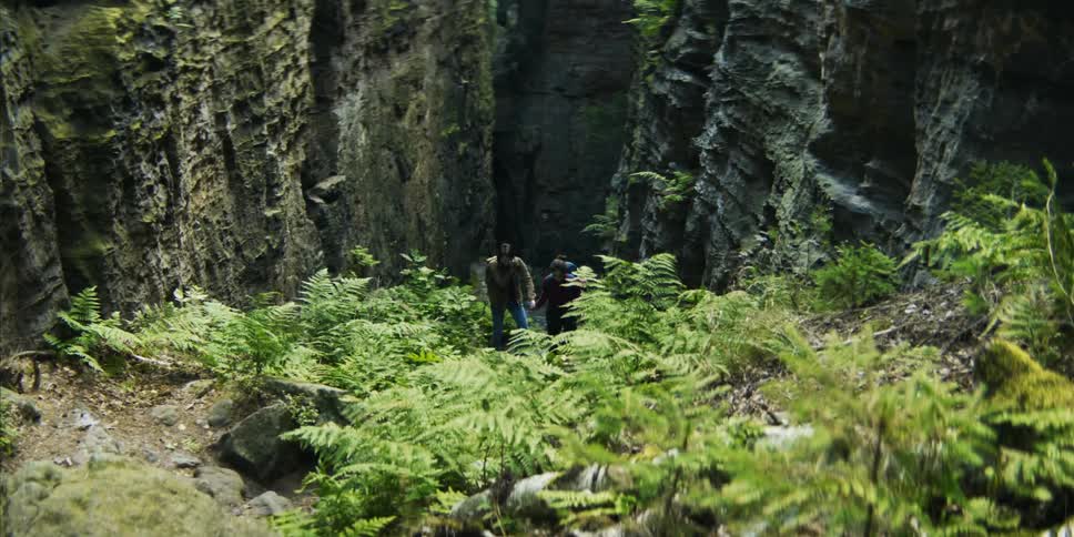 A young man and woman hold hands as they hike through a forest