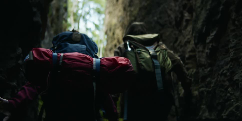 Two women are hiking in the forest