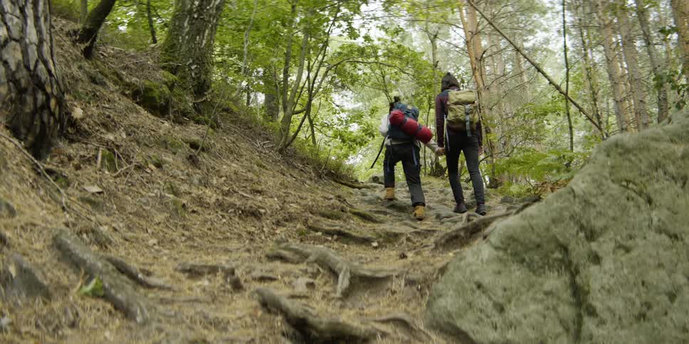 Two women are hiking through the wilderness