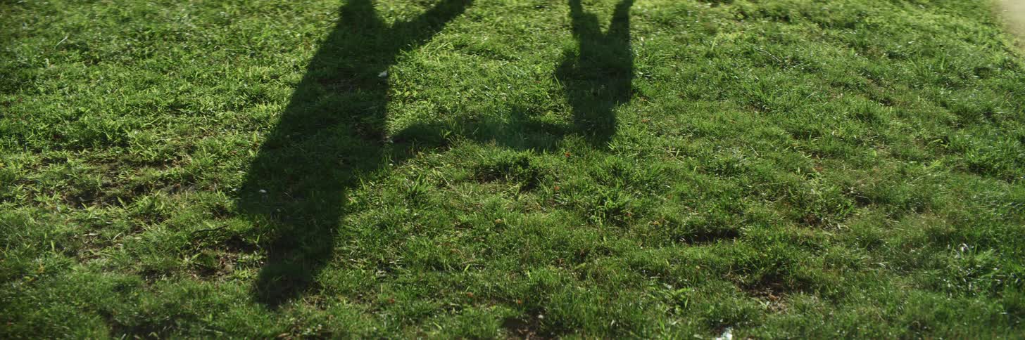 Shadows on the grass of a child boxing with an adult