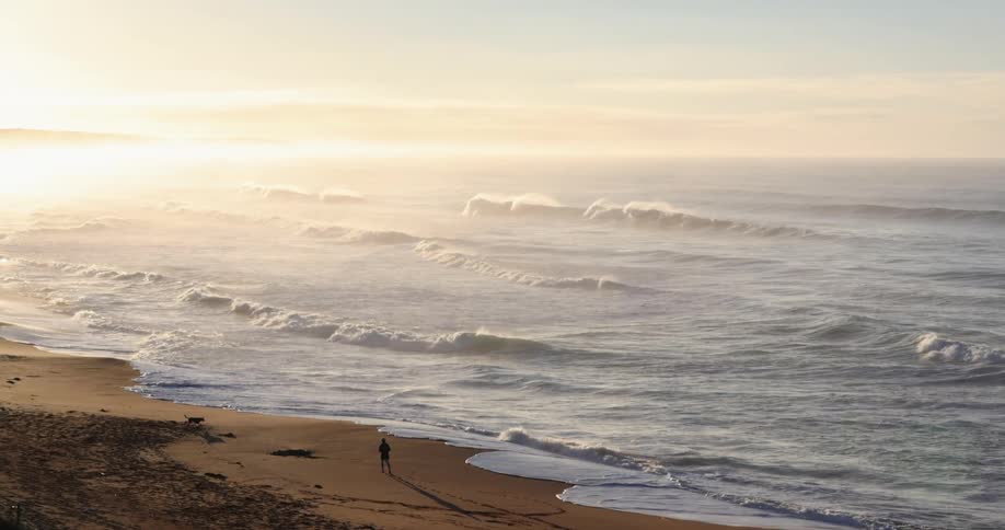 A person and dog walk on the beach as waves roll in