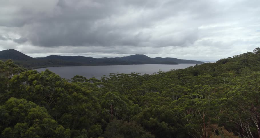 Aerial view of the tropical forest on the mountains close to the ocean on an island