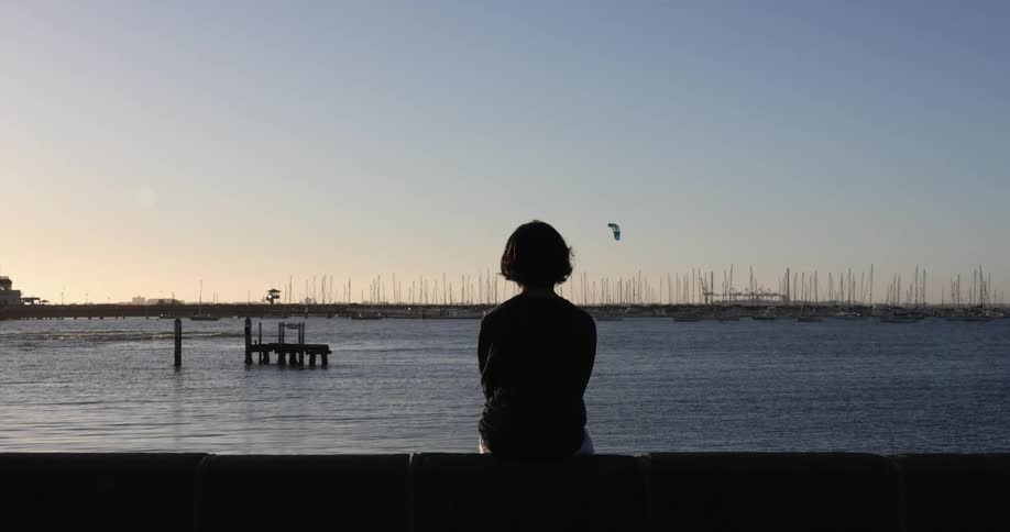 Woman sits on shore looking across water to marina as bird and para sail move through sky