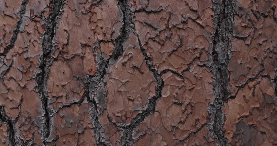 Black brown and gray colors that look like earth and mud