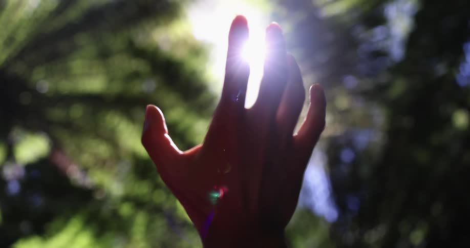 A man standing below palm trees holds his hand up and places his fingers where sunlight shines through