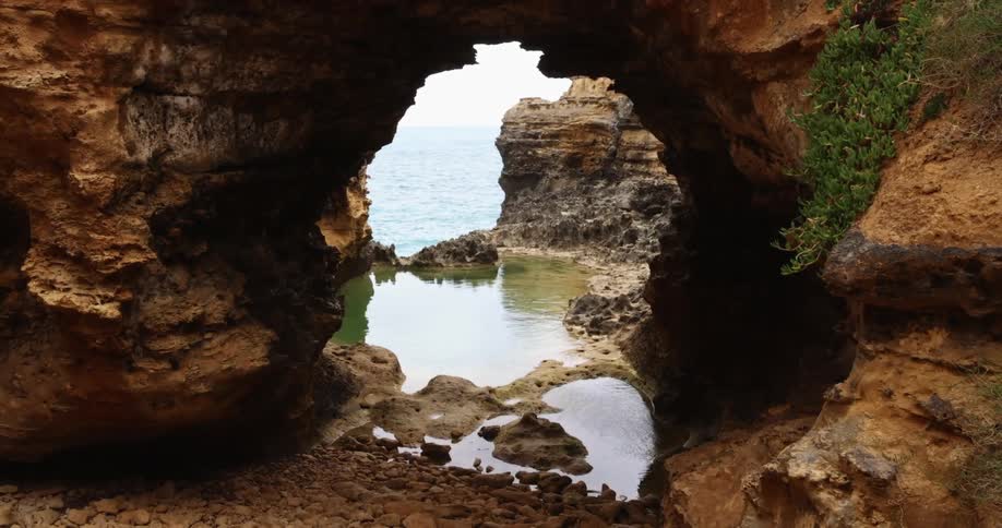 Vegetation grows near natural arch showing ocean and cliff
