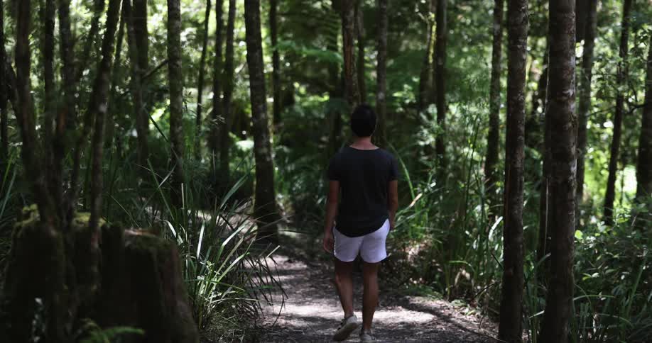 A man casually walks on a trail through dense woods