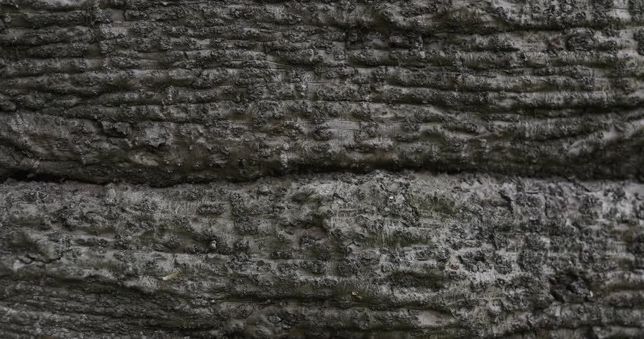 A gray surface contains numerous horizontal ridges that are covered in imperfections