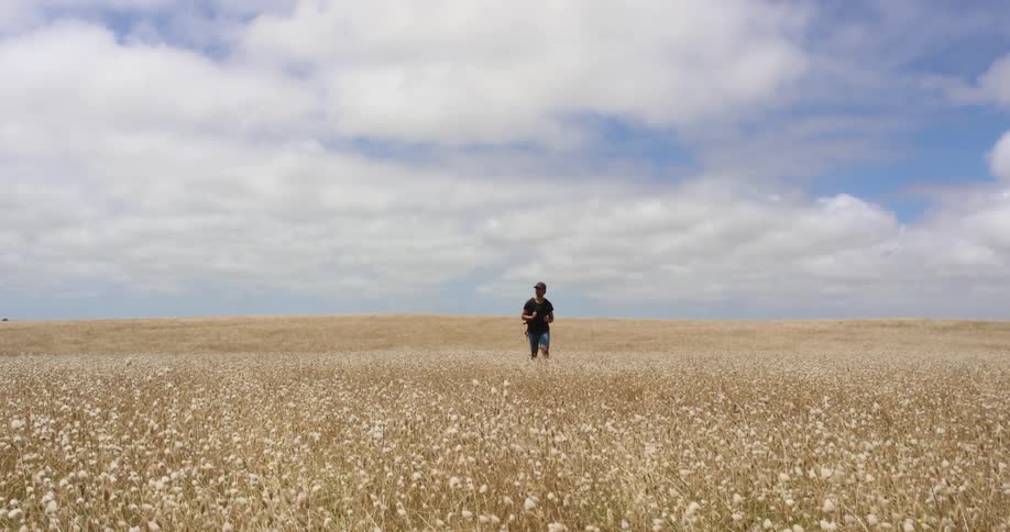 A man stands in a large field of wheat grass in fall