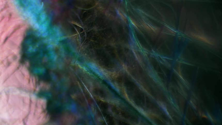 An extreme close up view of brain like activity