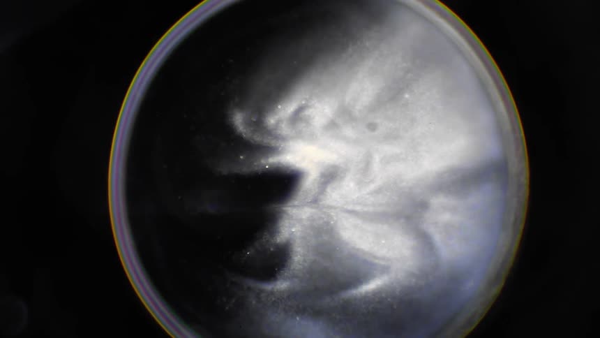 A black hole effect of moving particles in a petri dish