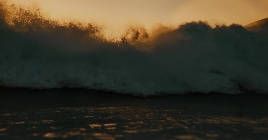 The golden sunshine reflects on the ocean surface as a wave curls and breaks