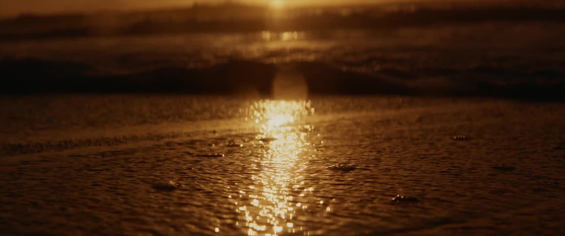 Ocean tide moves seashells along the shore of a beach