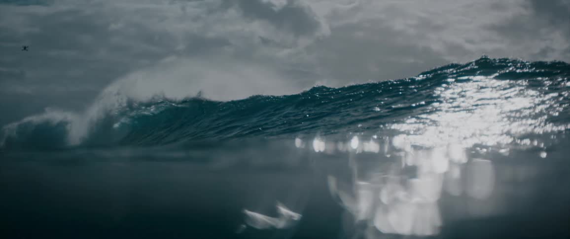 A large wave rises and crashes into the ocean as a black bird flies past